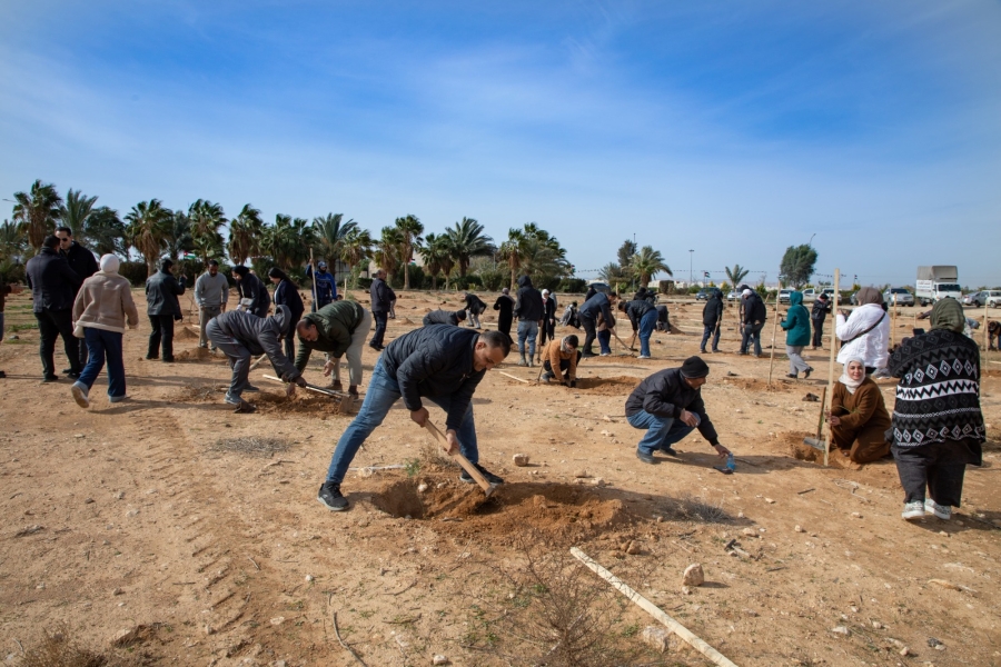  الهاشمية تغرس 1250 شجرة في حرمها الجامعي