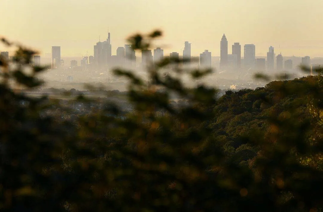 ارتفاع معنويات قطاع الاعمال الالماني يعزز امال التعافي الاقتصادي