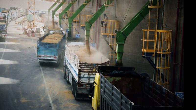 مخزون القمح في الاردن يتعرض لهجوم سيبراني