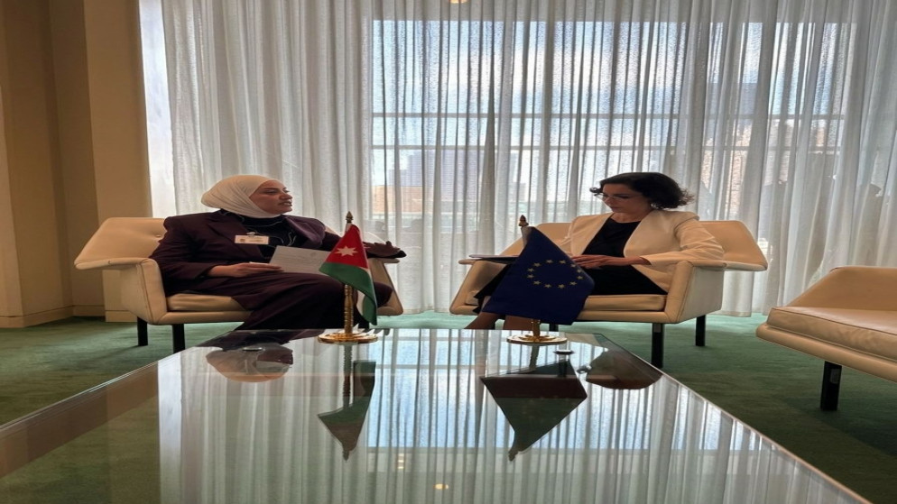 وزيرة التنمية تبحث تعزيز التعاون الاجتماعي مع مسؤولين دوليين