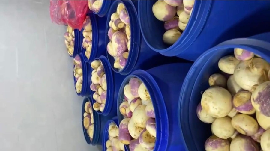 الغذاء والدواء تُغلق مشغل مخللات غير مرخّص 