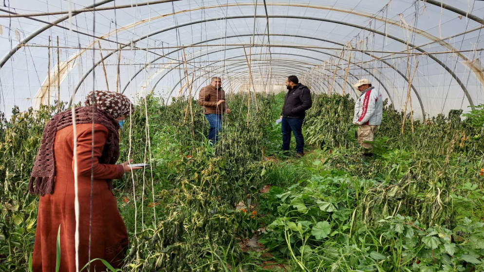 زراعة العقبة تحذر من امطار غزيرة وتدعو لاخذ الاحتياطات