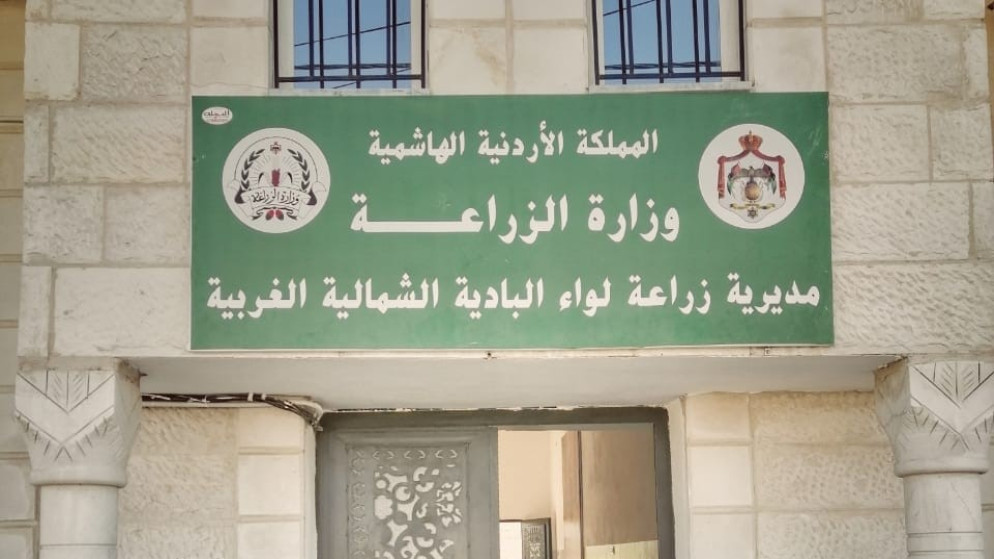 الموسم المطري ينعش الزراعة والمياه في البادية الشمالية الغربية