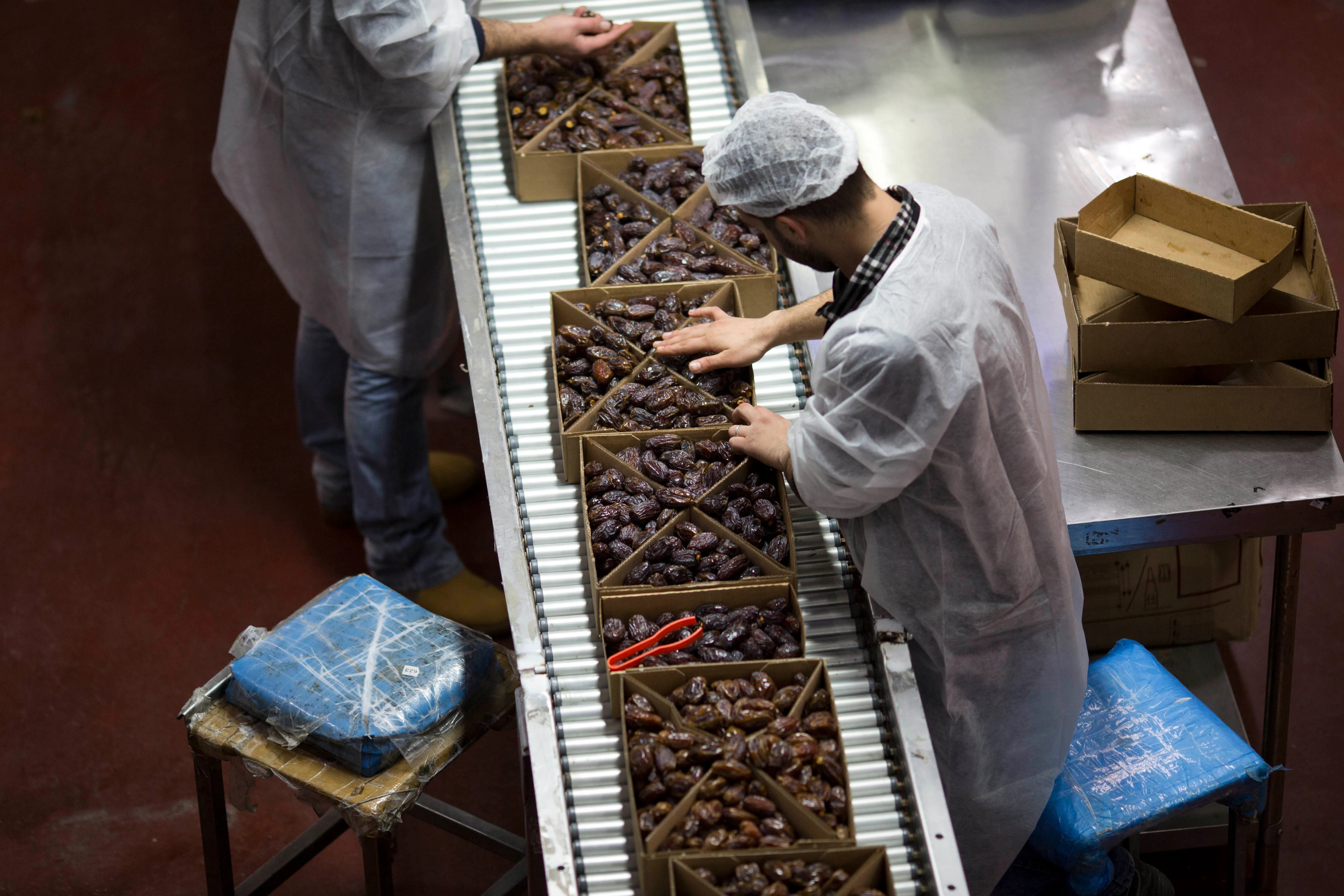 شلل الصادرات الزراعية يكبد مزارعي اسرائيل خسائر فادحة