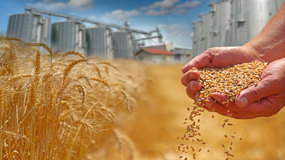 الصوامع: مخزون القمح الاستراتيجي يكفي 10 اشهر والشعير 8