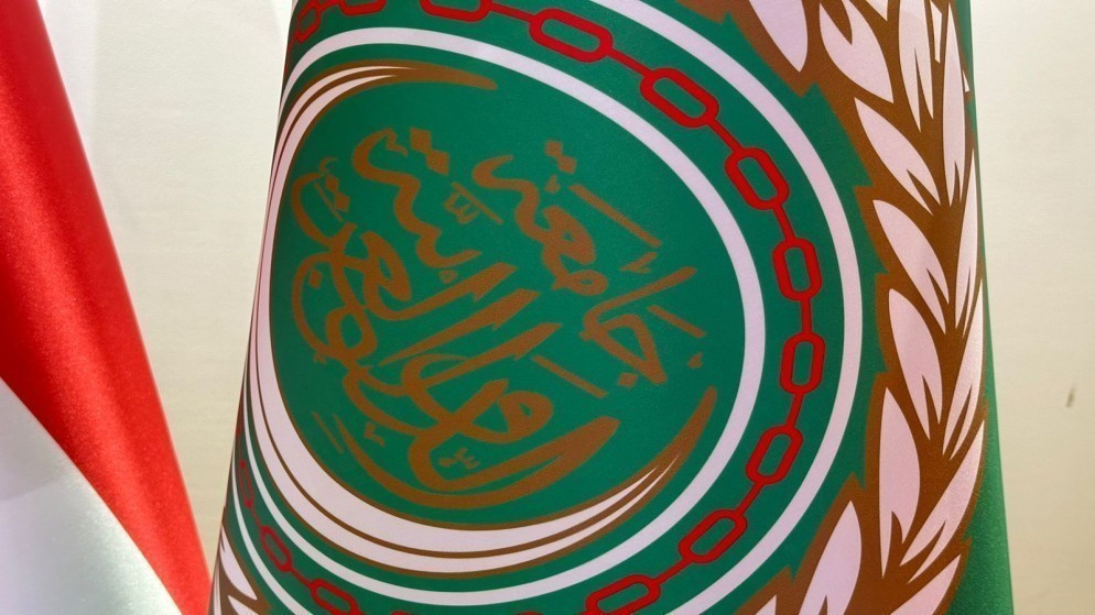 ابوالغيط يحذر من تدهور الوضع ويدعو لتسوية الخلافات