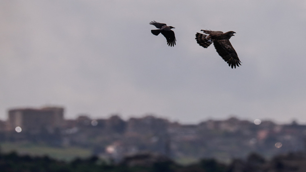 اسرائيل ترفض وقف النار مع حزب الله وتبدا مفاوضات مع لبنان الثلاثاء