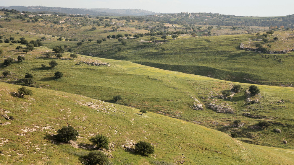 الارصاد الجوية طقس بارد الاحد وارتفاع تدريجي بدرجات الحرارة