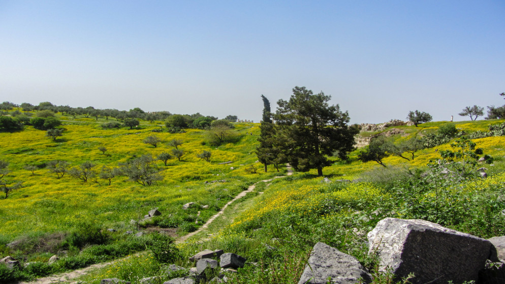 طقس ربيعي وارتفاع في درجات الحرارة اليوم