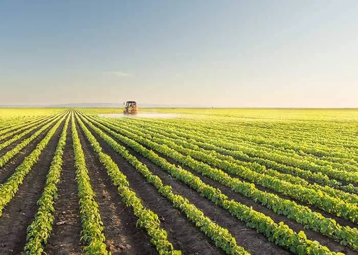 السعودية تعزز الاكتفاء الغذائي وتواجه تحديات الامن العالمي