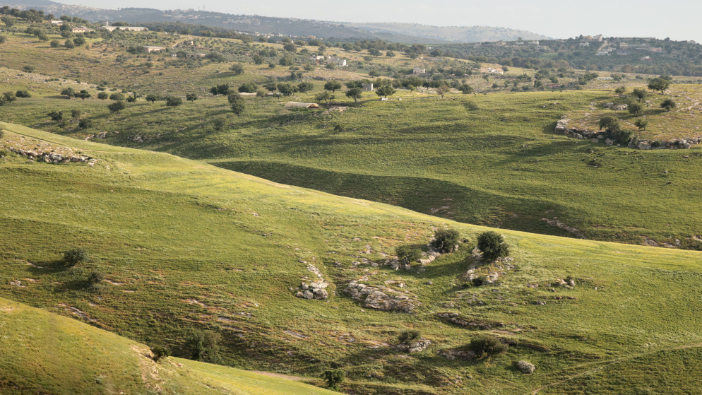طقس دافيء بالمملكة وحار بالاغوار والعقبة