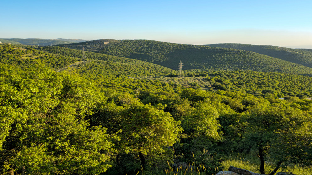 انخفاض ملموس بدرجات الحرارة في المملكة الاثنين