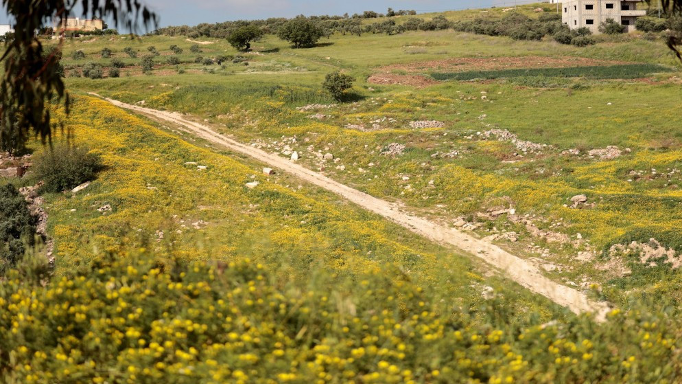 طقس دافىء ومشمس يسيطر على معظم مناطق المملكة