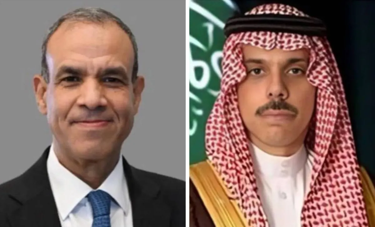 السعودية ومصر تبحثان تطورات الاوضاع في المنطقة