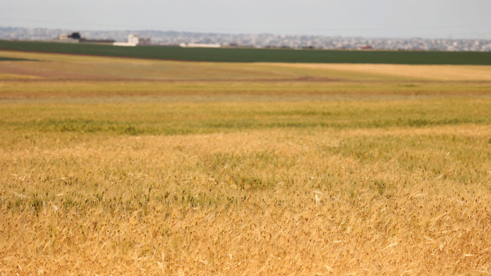 ارتفاع طفيف في درجات الحرارة الثلاثاء في الاردن