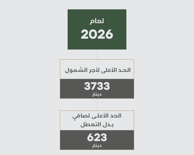 الضمان الاجتماعي تطرح هذه الارقام الهامه