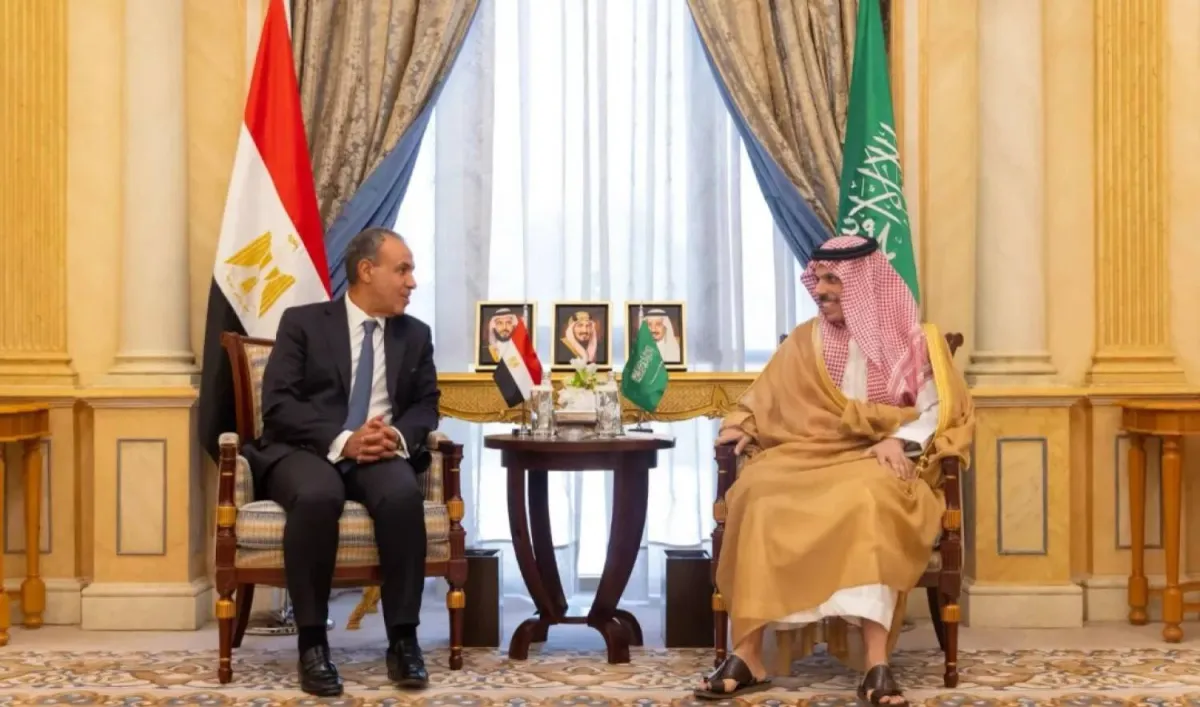 السعودية ومصر تبحثان جهود خفض التصعيد بالمنطقة