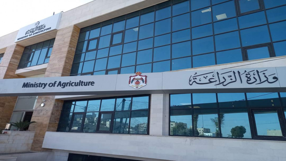وزارة الزراعة تبحث تعزيز التعاون الزراعى والامن الغذايى مع مسوولين دوليين