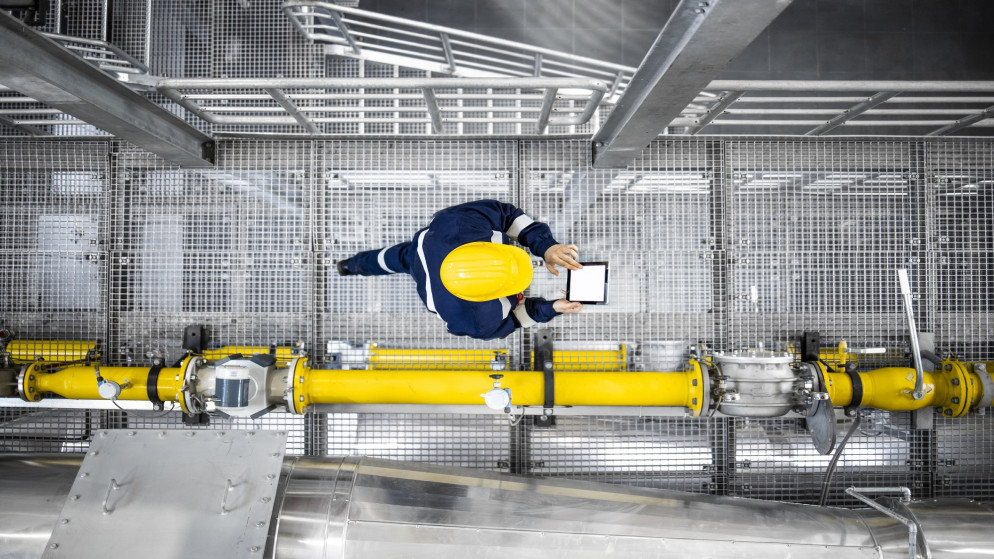 البنك الدولي: 75% استمرار مستفيدي برنامج التشغيل في سوق العمل