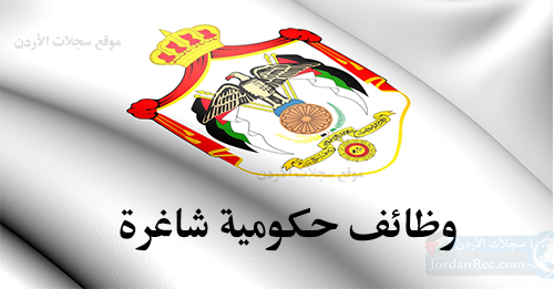 قرارات حكومية تتعلق بالكفاءة  الوظائف