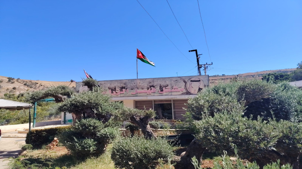 نجاح زراعة الفستق الحلبي الهجين في الاردن بنسب قياسية