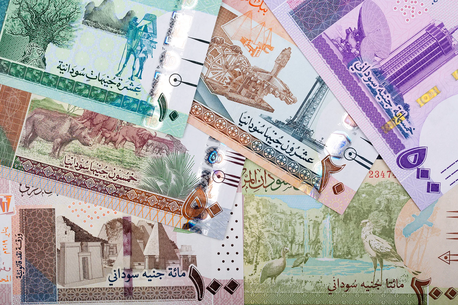 تداول عملات نقدية جديدة في مناطق سيطرة الدعم السريع يثير تساؤلات اقتصادية