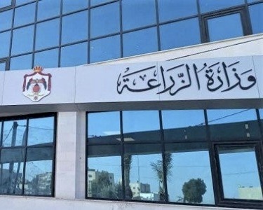 وزارة الزراعة تمدد فترة شراء الحبوب 