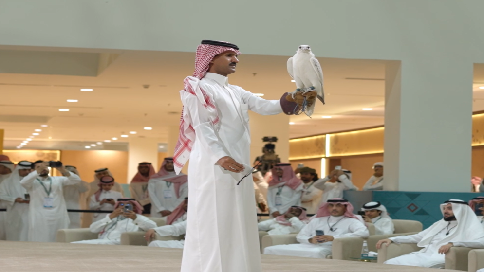 بيع صقر كندي في مزاد السعودية بمليون وثلاثمئة الف ريال
