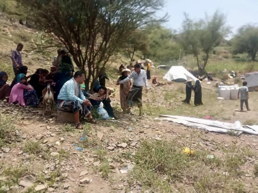{title}