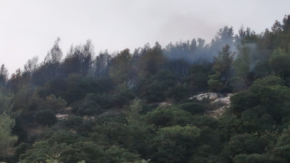انخفاض قياسي في حرائق الغابات بمحافظة جرش