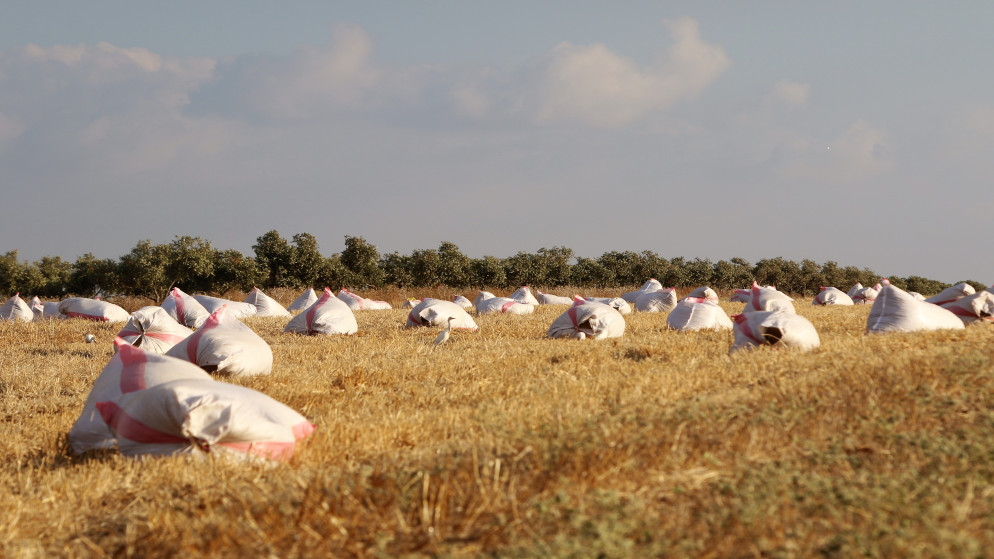 {title}