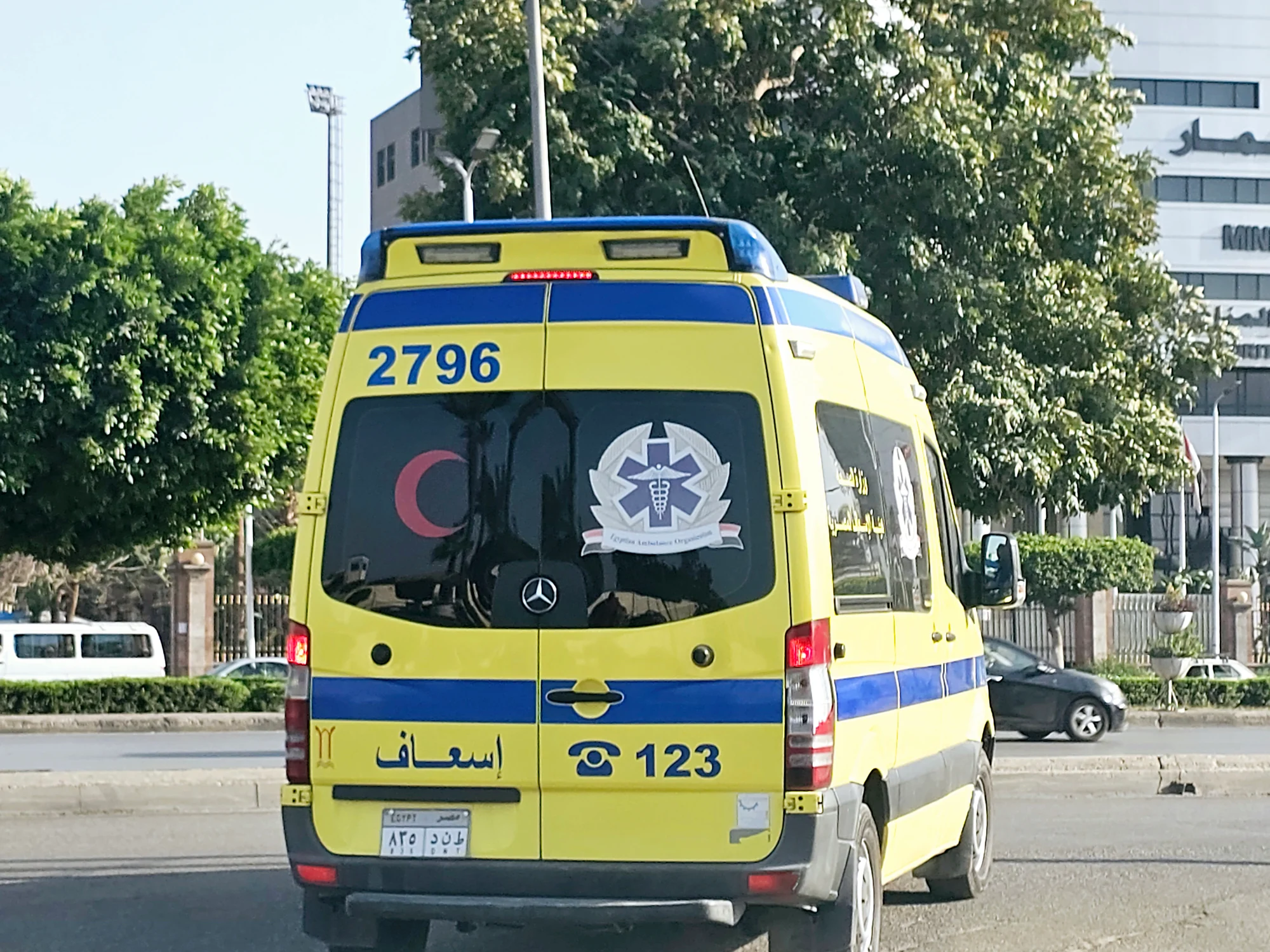 {title}